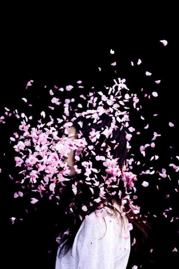 5763ba347713e39ddf7cd8768a9d6b8b