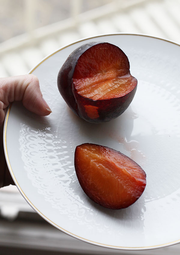 purpleroseapricotopen