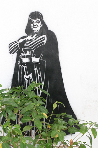 3921475388_ab4e932356