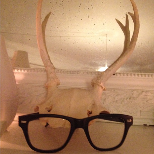 These antlers don't really like cocktail parties. | Mighty Girl