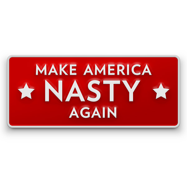 america-nasty-pin