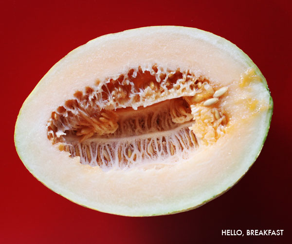 Taste 1,000 Fruits, Hami Melon | Mighty Girl